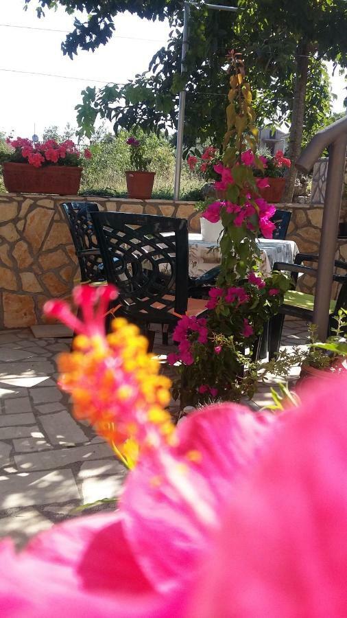 Apartmani Anica Risika Zewnętrze zdjęcie